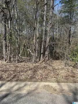 Residential Land in Established Neighborhood