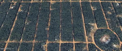 Residential Lot in Interlachen, FL