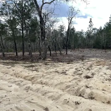 Oversized Lots in Interlachen, FL