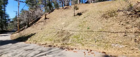 Vacant Lot in Running Springs