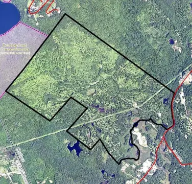 785 Acres Land in Ossipee