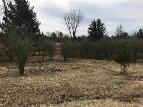 Vacant Land in Gladwin, MI