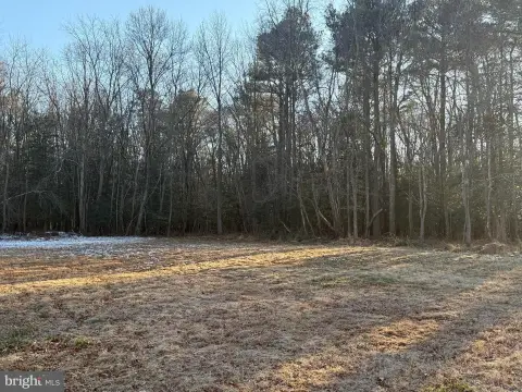 Spacious Lot for Custom Home