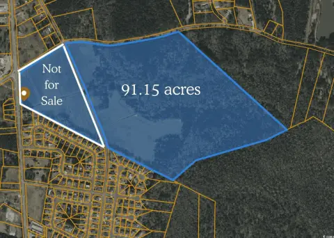91.15 Acres in Conway, SC