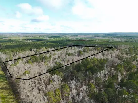 Wooded Land with Highway Frontage