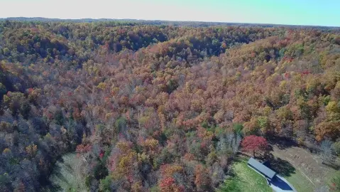 Campbellsville, KY Wooded Acreage