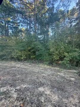 Unrestricted Land in Many, LA