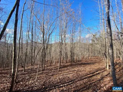 50 Acres with Mountain Views