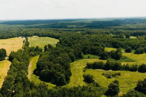 Agricultural Land with Creek