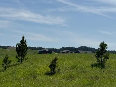 Custer, SD Residential Lots