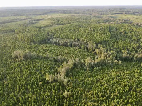 Large Acreage with Creek Frontage