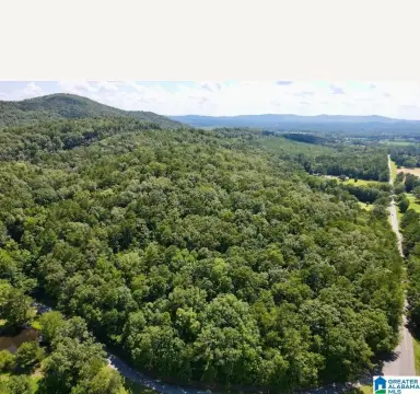 Hunting and Homesite Land