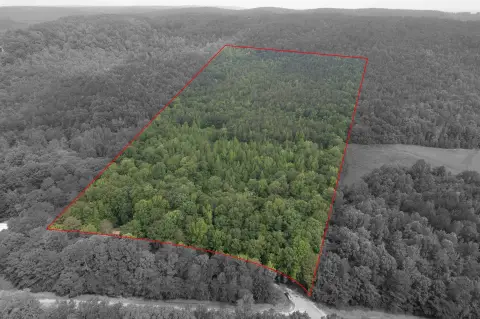 37 Acres Near Highway 247
