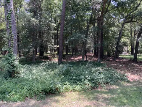 Residential Homesite in Planned Community