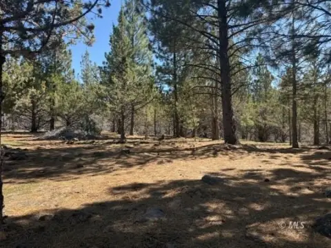 Recreational Land with Mountain Views