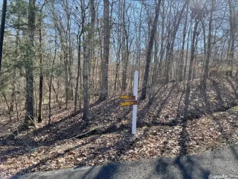 Diamante Subdivision Golf View Lot