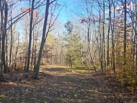 Wooded Land in Springwater, NY