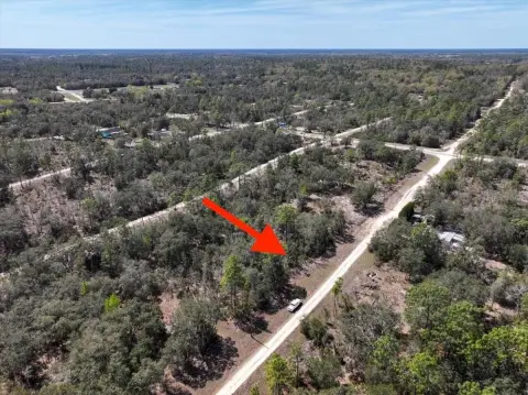 Residential Land in Williston, FL