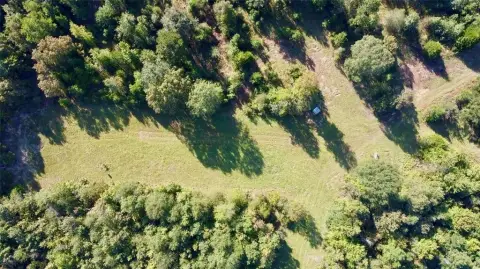Avinger, TX Wooded Land
