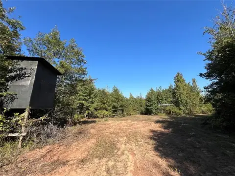 Wooded Land in Cass County