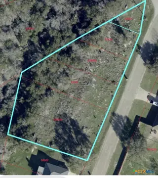 Partially Cleared Acre Lot