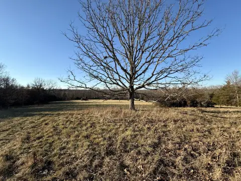 22.91 Acres of Rolling Hills