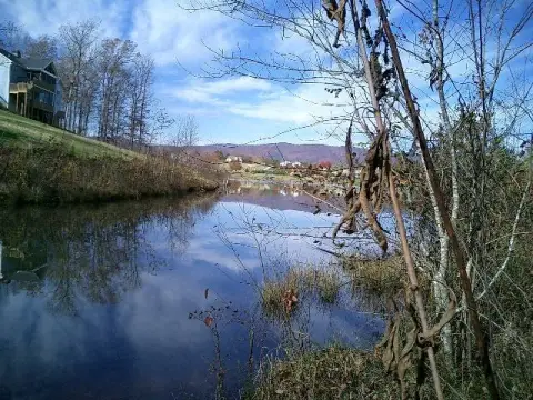 Land with Lake and Mountain Views