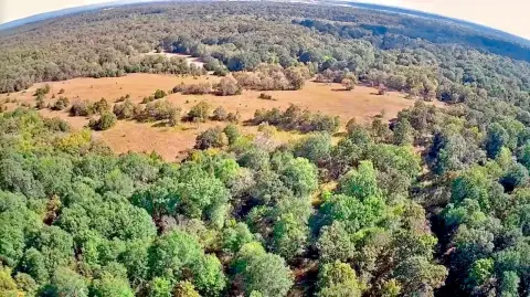 Creekfront Hunting Land