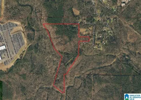 Wooded Recreational Land Tract