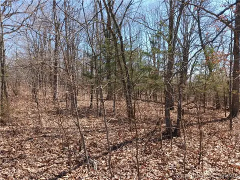 Versailles Wooded Land For Sale