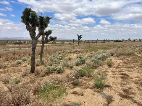 Land in Llano, California
