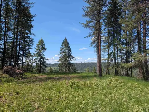 Hunting Land with Electricity Available