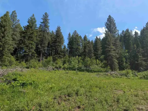 Recreational Hunting Land Acreage