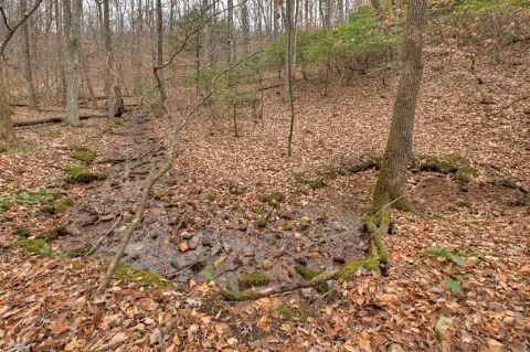 Ellijay Mountain Land with Creek
