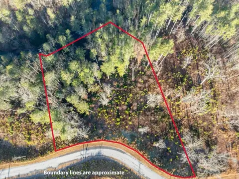 Riverfront Homesite in Ellijay, Georgia