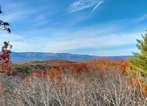 Ellijay Vacant Lot in Retreat