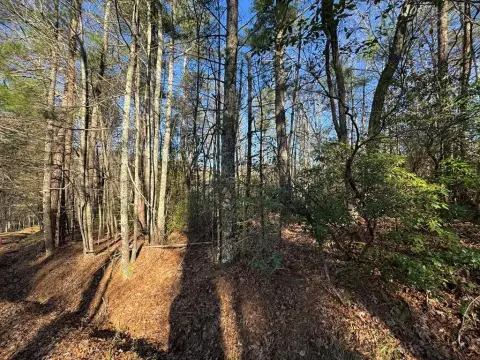 Wooded Lot in Walnut Mountain