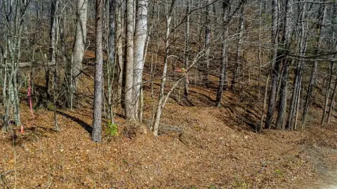 Talking Rock Homesite with Stream