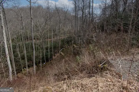Land in Snowbird Wilderness