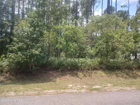 Wooded Golf Course Homesite