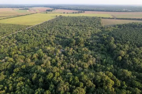 Wooded Hunting Land