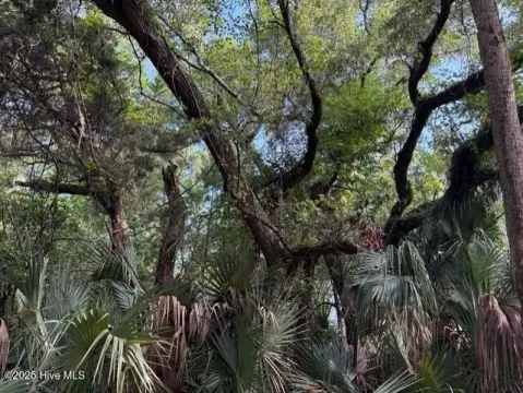 Bald Head Island Homesite