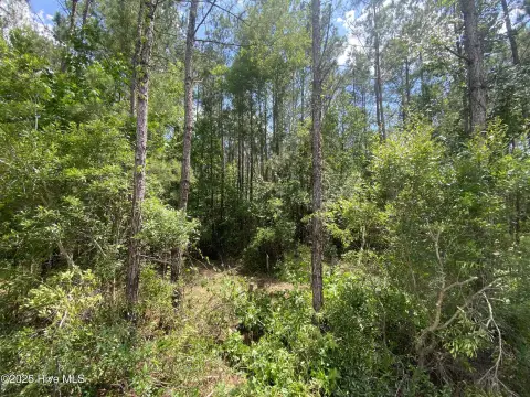 Half Acre Lot in Leland