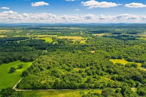 Heavily Wooded Corner Recreational Land