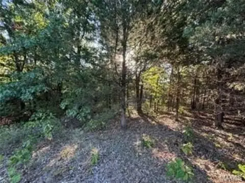 Secluded Wooded Lots Near Mark Twain