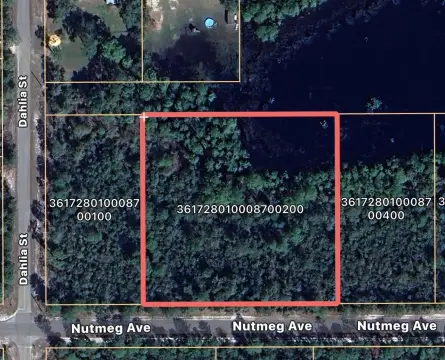 Two Acre Parcel in EUSTIS