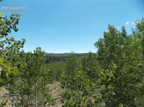 Mountain Residential Land Lot