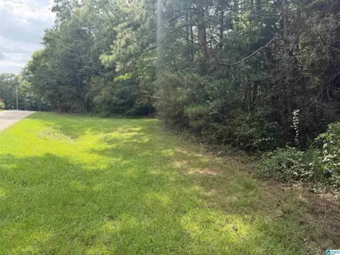 Land Tract with Dual Road Frontage