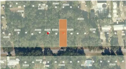 Commercial Lot in Welaka, FL