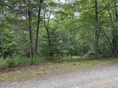 Residential Buildable Lot with Utilities